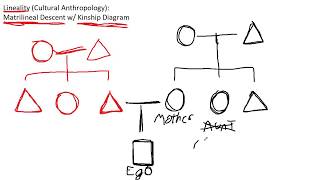 Introduction to Matrilineal Descent w Kinship Diagram  Cultural Anthropology [upl. by Eanar143]