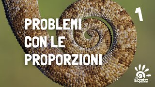 Problemi con le proporzioni  1 [upl. by Nawoj]