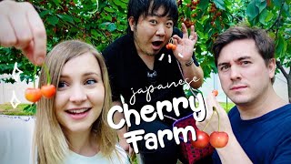 Japans Famous Yamagata Cherries AllYouCanEat Cherry Farm 😍🍒 [upl. by Eliseo]