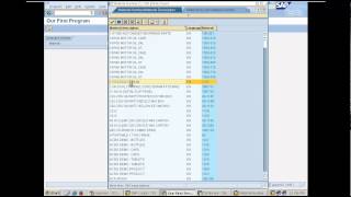 Creating our first report program in SAP  Day 4 [upl. by Atilrak]