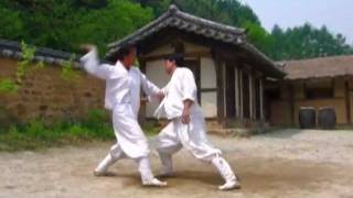 Taekkyeon a traditional Korean martial art [upl. by Elime]