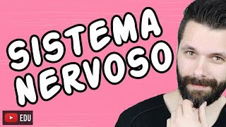 SISTEMA NERVOSO  FISIOLOGIA  Aula  Biologia com Samuel Cunha [upl. by Leitao]