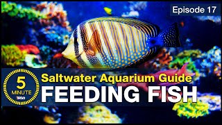 Feed your saltwater fish in a way you can be proud of Increase health color and longevity [upl. by Yorgerg345]