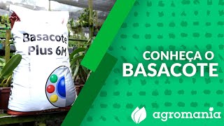 Como cultivar utilizando o fertilizante BASACOTE [upl. by Sandstrom]