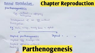 Parthenogenesis  Haploid Parthenogenesis  Diploid Parthenogenesis  Class 12 In Hindi Urdu [upl. by Adilem]