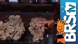 How to set up a saltwater aquarium  Episode 1 Reef tanks made fun and easy [upl. by Akehsar]