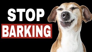 Sounds To Stop Dog Barking  HQ [upl. by Kamp]