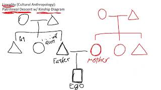 Introduction to Patrilineal Descent w Kinship Diagram  Cultural Anthropology [upl. by Gans]