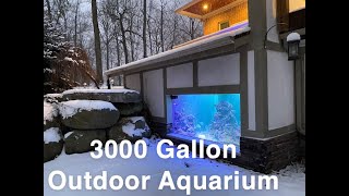 Complete Build of 3000 gallon indooroutdoor saltwater fish tank  SPEEDBUILD [upl. by Hallee]