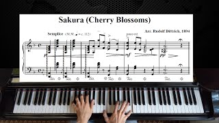 quotSakura Sakuraquot さくら さくら quotCherry blossoms cherry blossomsquot  Piano Tutorial [upl. by Lehet]