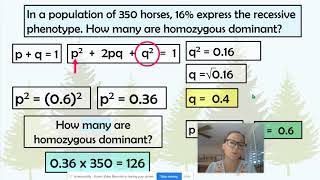 Example HardyWeinberg Problems [upl. by Gerry329]