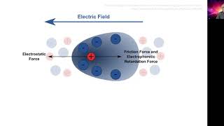 Measuring zeta potential  electrophoresis [upl. by Lambart277]